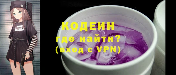гашик Лабытнанги