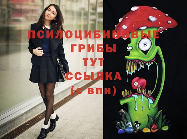 индика Алзамай