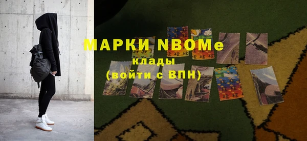 индика Алзамай