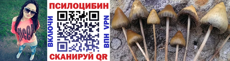 Псилоцибиновые грибы прущие грибы  Комсомольск-на-Амуре 