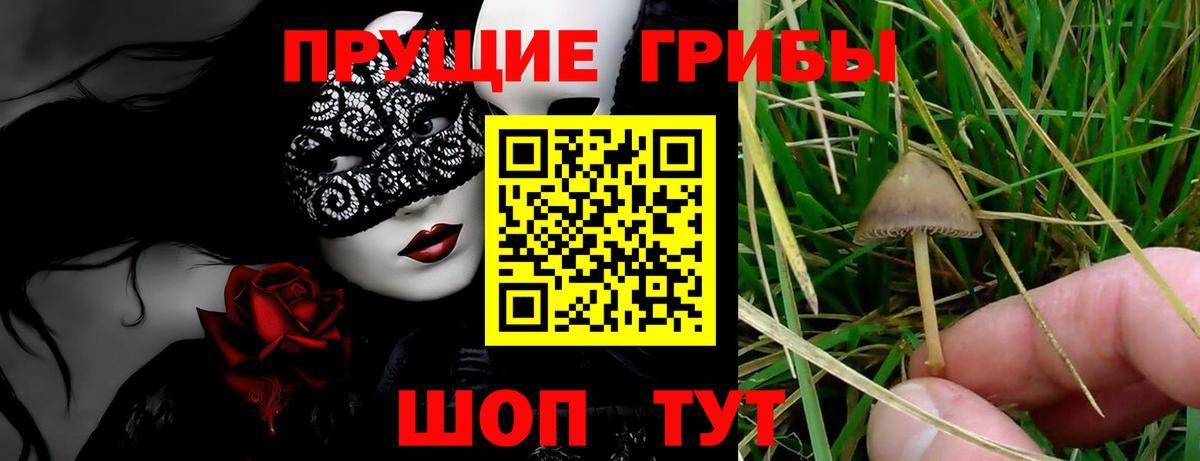 Комсомольск-на-Амуре  Псилоцибиновые грибы Cubensis  Вход с VPN 